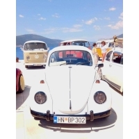 fot.Ola