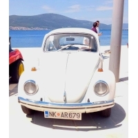 fot.Ola