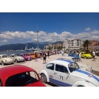fot.Ola