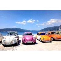 fot.Ola