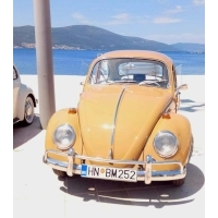 fot.Ola