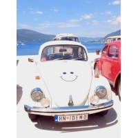 fot.Ola