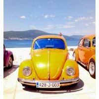 fot.Ola