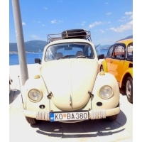fot.Ola