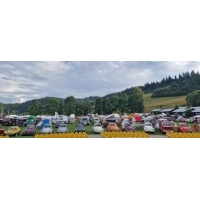 fot.Sabina