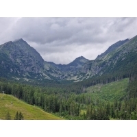fot.Sabina