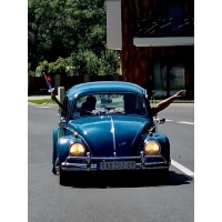 fot.Sabina