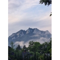 fot.Sabina