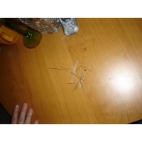 Św. Andrzeju co czeka mnie w najbiższym roku?