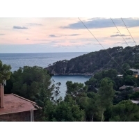 fot.Artek