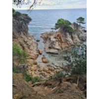 fot.Artek