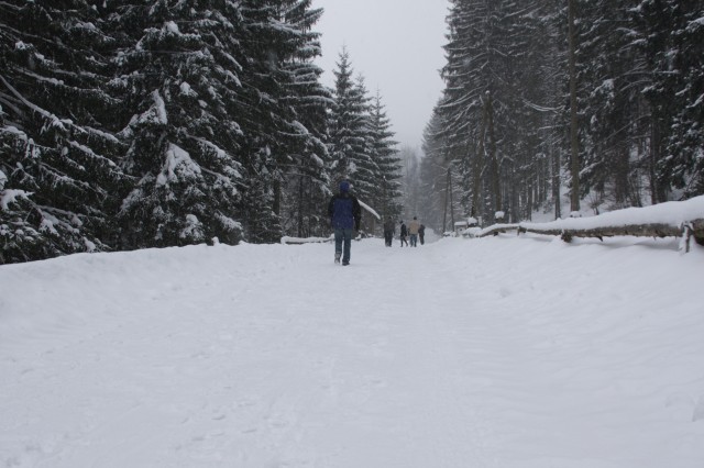 fot.Artek (canon) 069.jpg