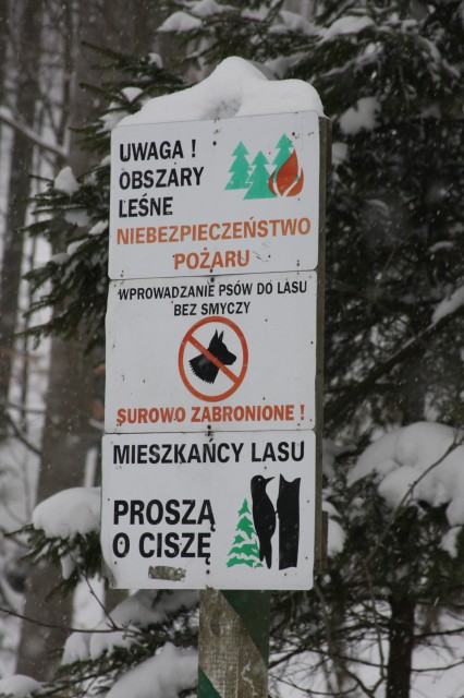 fot.Artek (canon) 080.jpg