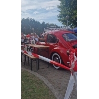 fot.Sabina