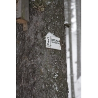 fot.Artek (canon) 081.jpg
