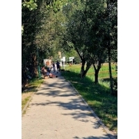 fot.Sabina