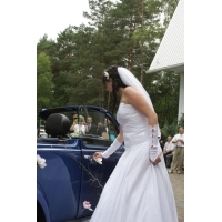 fot.Artek
