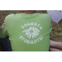 fot.Artek