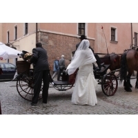 fot.Artek (canon) 001.jpg