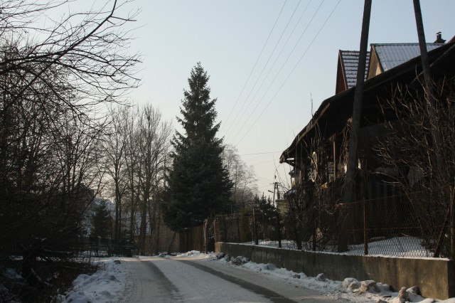 fot.Artek (canon) 213.jpg