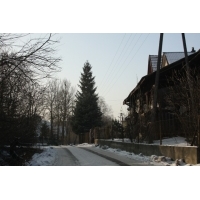 fot.Artek (canon) 213.jpg