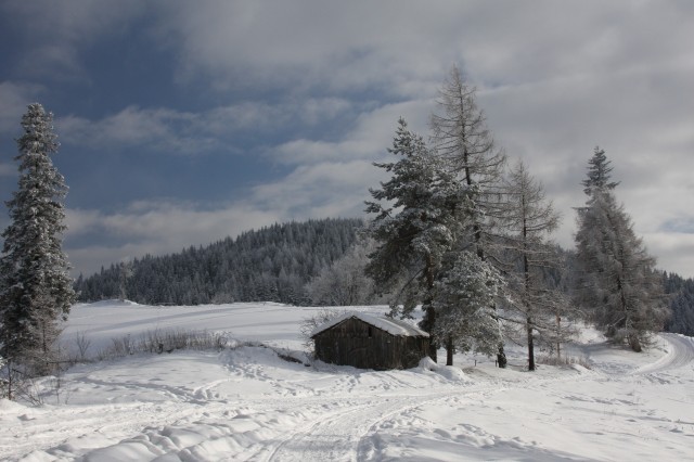 fot.Artek (canon) 299.jpg