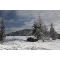fot.Artek (canon) 299.jpg
