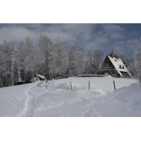 fot.Artek (canon) 307.jpg