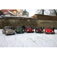 fot.Michał (VW Trends)
