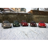 fot.Michał (VW Trends)