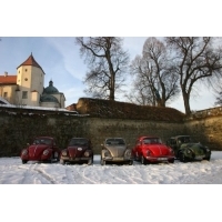 fot.Michał (VW Trends)