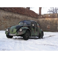 fot.Michał (VW Trends)