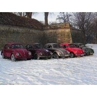 fot.Michał (VW Trends)