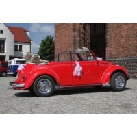 Obraz 004.jpg