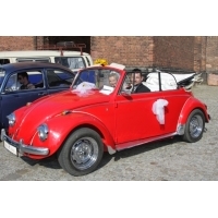 Obraz 128.jpg
