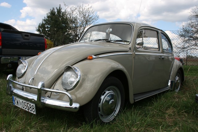 Obraz 217.jpg