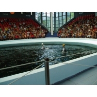 fot.Marek - Delfinarium 