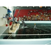 fot.Marek - Delfinarium