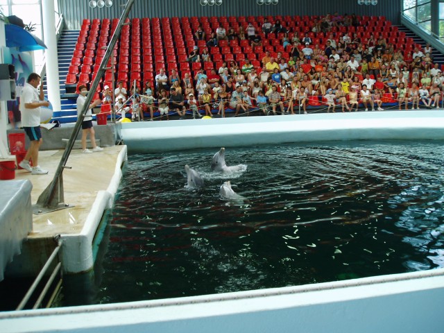 fot.Marek - Delfinarium