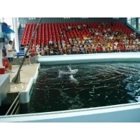 fot.Marek - Delfinarium