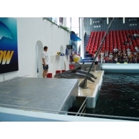 fot.Marek - Delfinarium