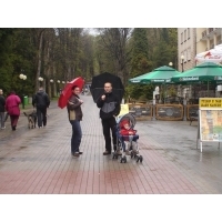 fot.Artek