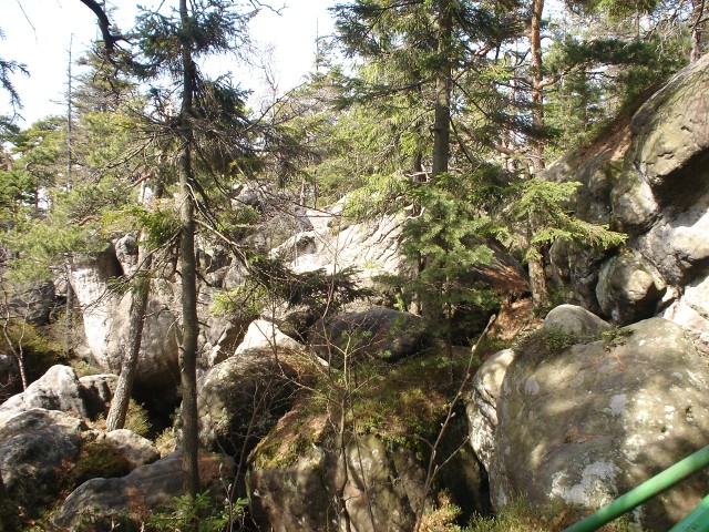 fot.Artek