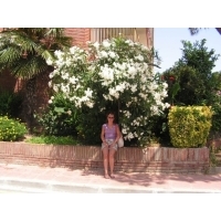 Fot.Artek