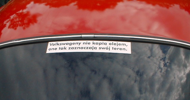 fot.Dominik