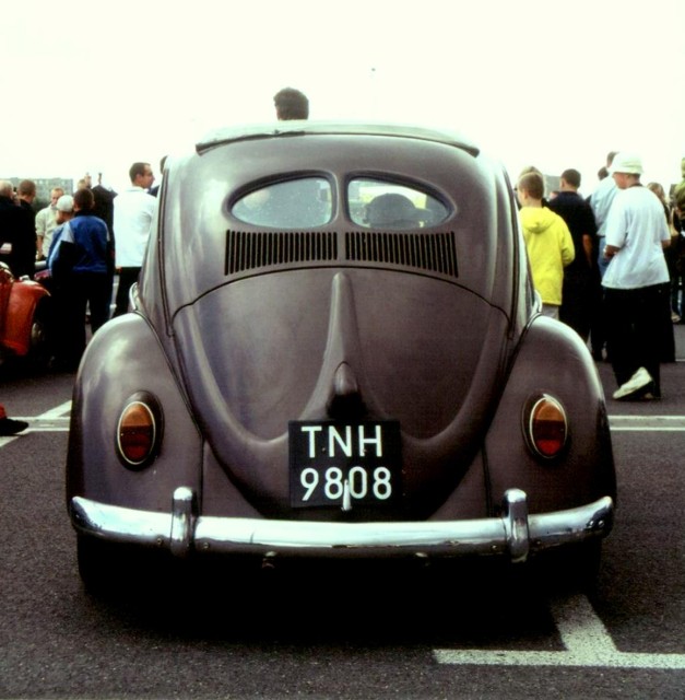 t023.jpg
