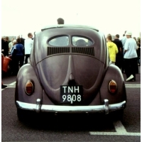 t023.jpg