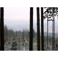 fot.Jurek