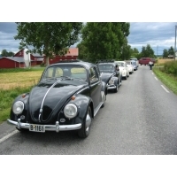 fot.Jurek