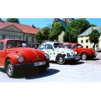 fot.Artek